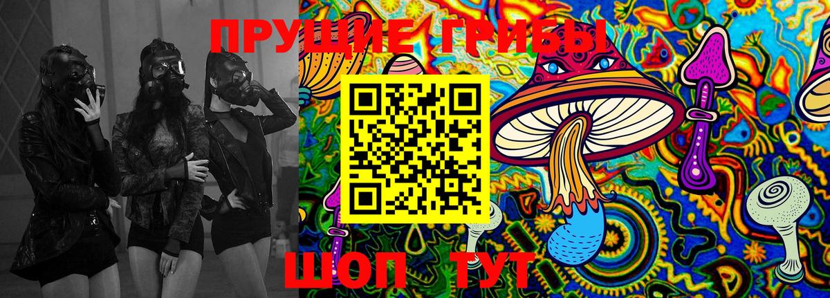 Кумертау  Галлюциногенные грибы MAGIC MUSHROOMS  Галлюциногенные грибы MAGIC MUSHROOMS  Вход с VPN 